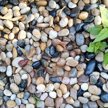 GALESENA Polished pebbles for home decoration